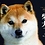 sanihiko